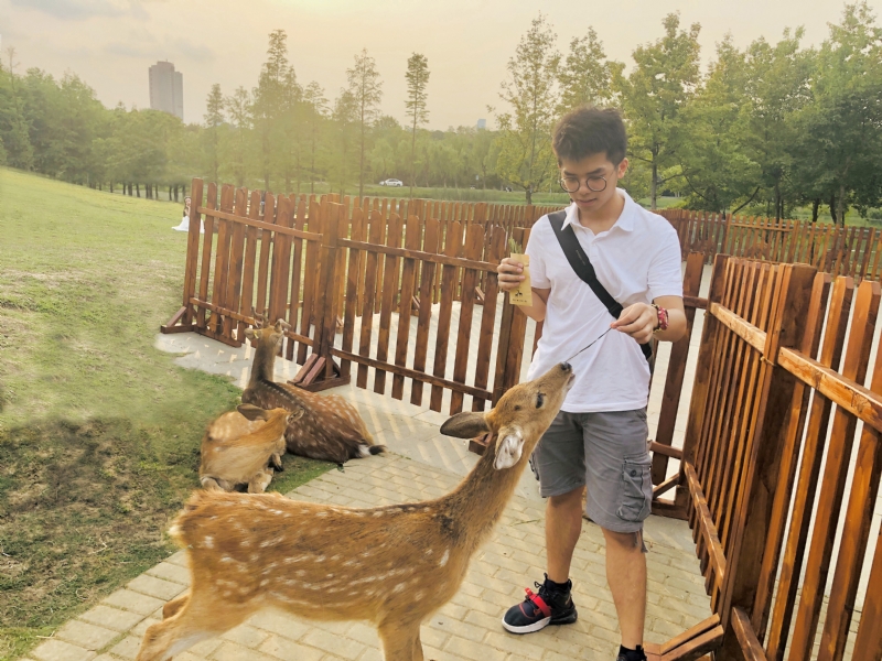 米兰的小铁匠的第一张照片--福州认干亲服务网